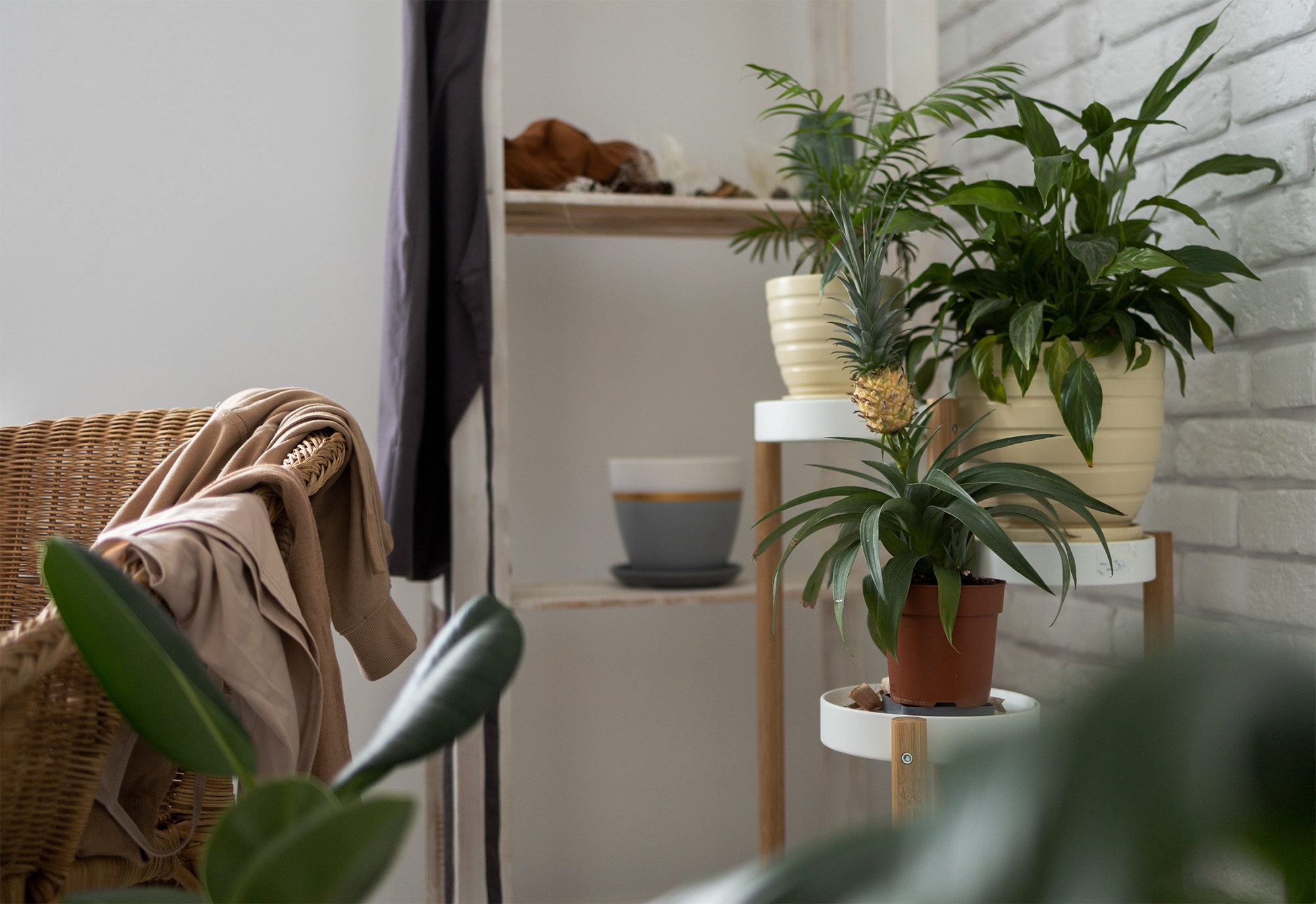 Read more about the article Toque de natureza: saiba quais plantas cultivar na varanda do apartamento